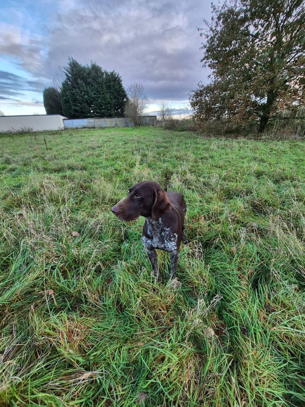 Tao des Mannes Fleuries