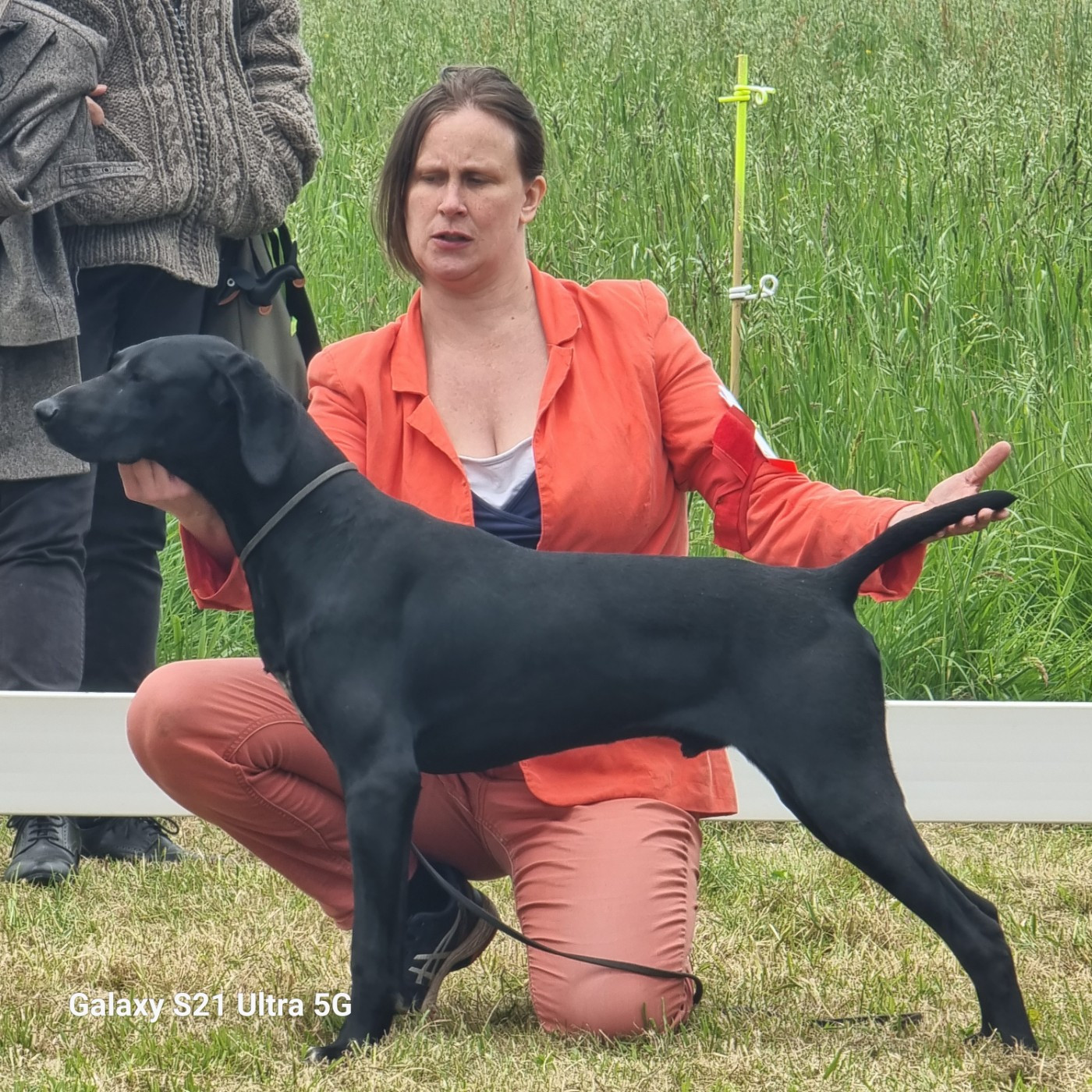 Ultra des Mannes Fleuries