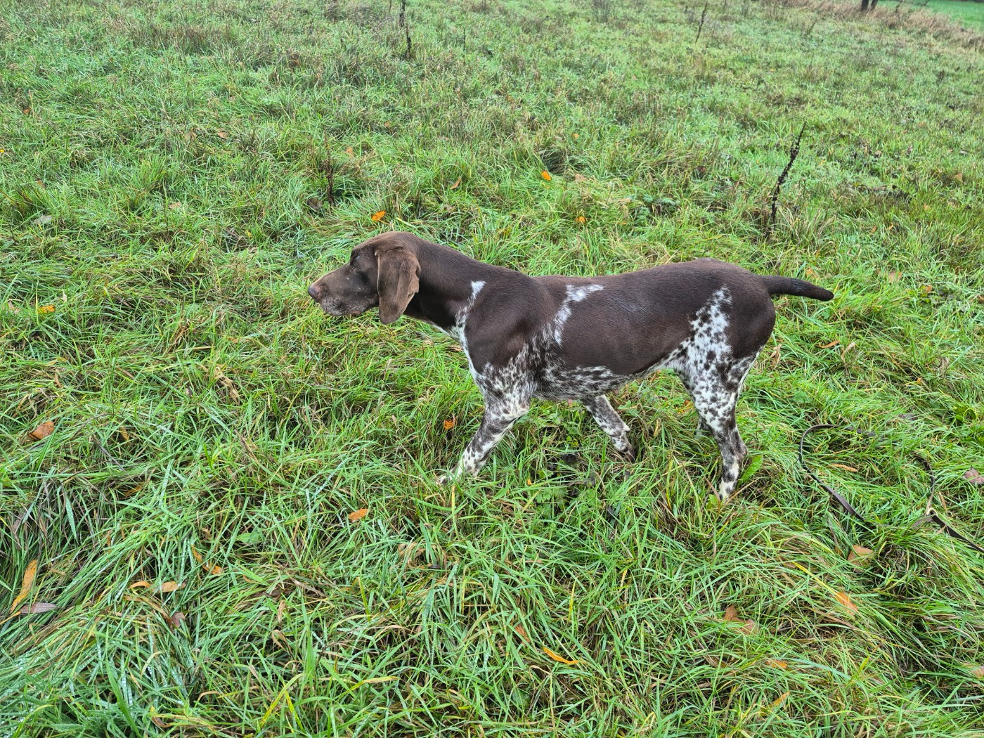 Santa des Mannes Fleuries