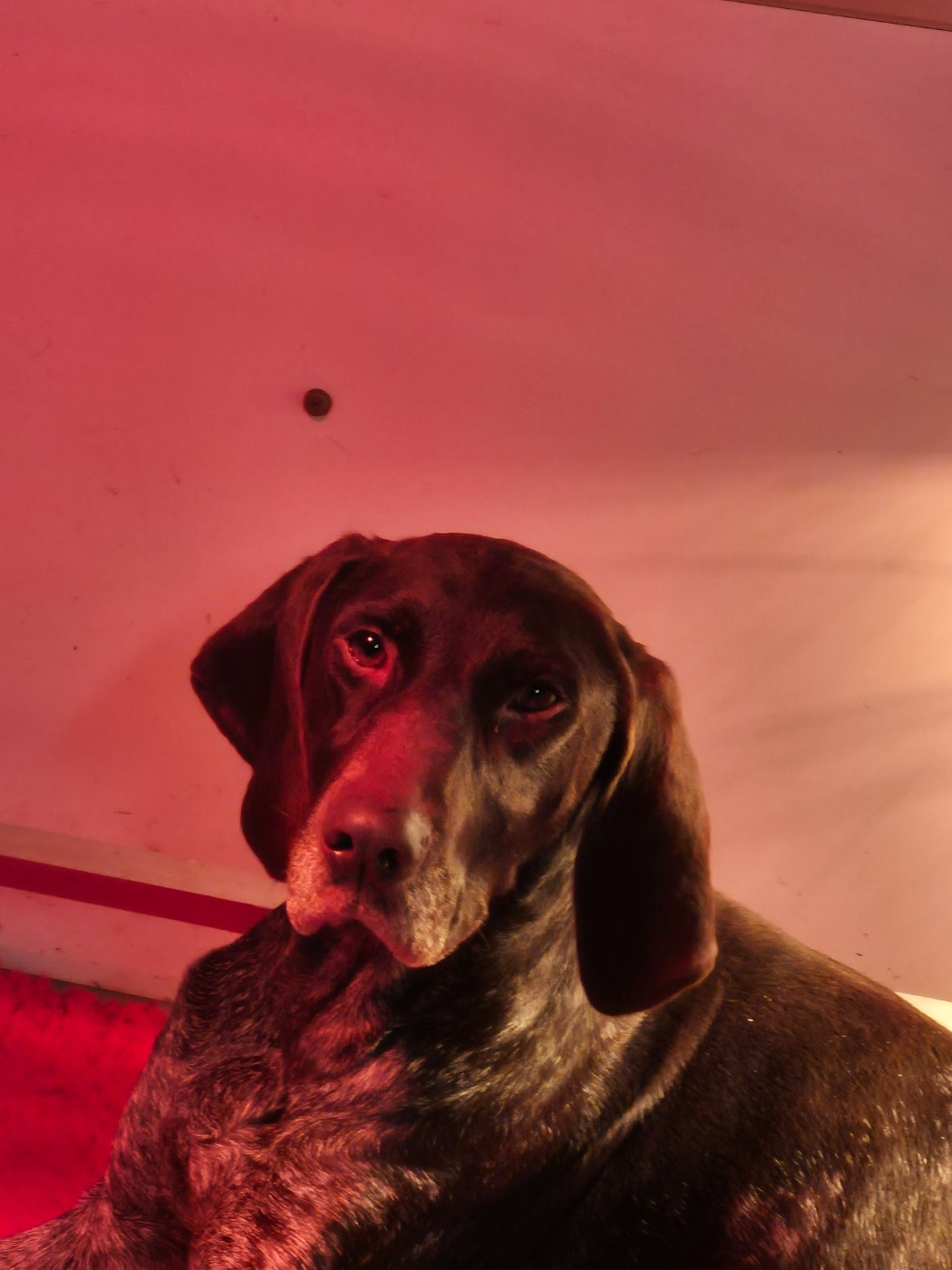 Tina des Mannes Fleuries